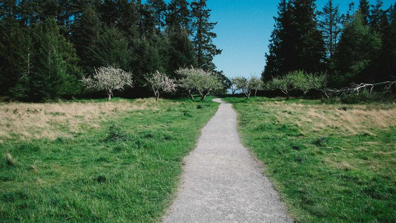 失眠不用慌！中医食疗助你安享整夜好眠