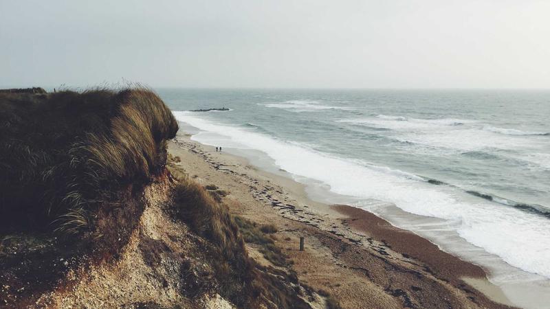 蜂蜜：千年食疗瑰宝的现代科学解码