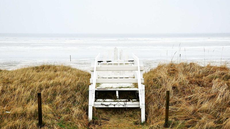 夏季进补新选择：黑芝麻煲汤，清凉润燥养身心