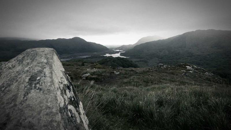 枸杞养生全攻略：千年药食同源的现代科学解读