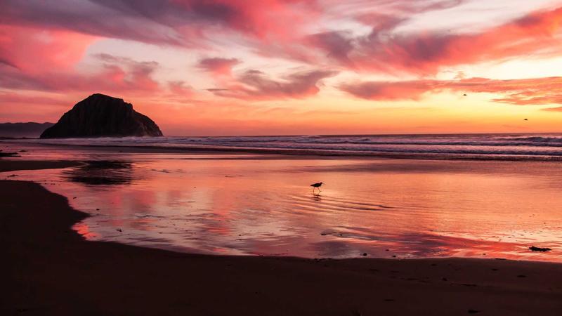 八珍汤：千年古方焕新颜，气血双补的养生秘籍