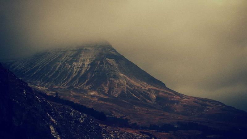 灵芝：千年仙草的现代养生密码——从古籍记载到科学验证的食疗指南
