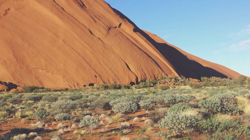 蜂蜜：千年养生瑰宝的食疗密码与科学搭配指南
