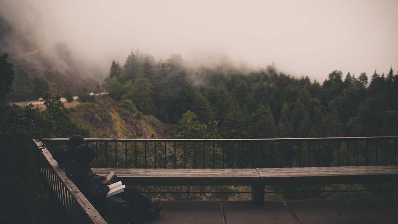 春日养心秘籍：莲子煲汤的5大养生功效与食疗方案