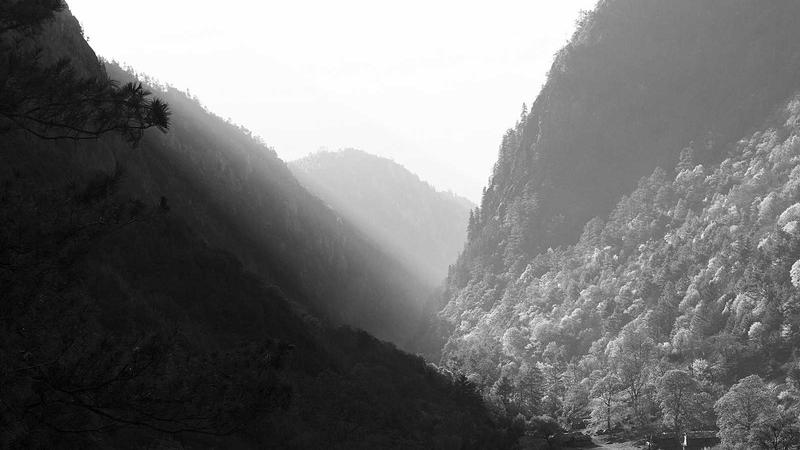 秋燥易伤身？蜂蜜煲汤润燥养肺，解锁秋季进补黄金法则