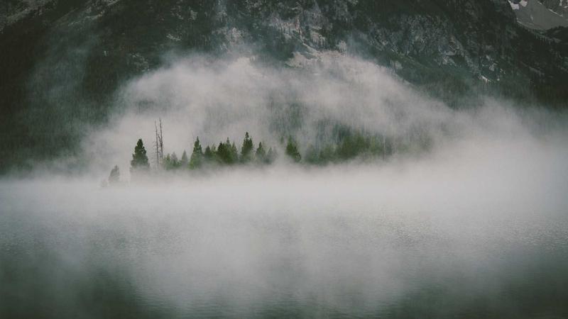 春季滋补黄金方：四君子汤的四季养生智慧