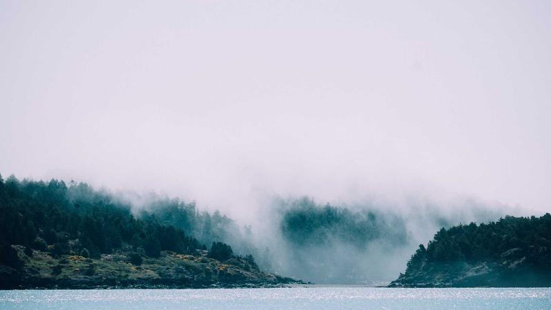 红枣食疗治咳嗽：千年古方焕新颜，5款养生方助你润肺止咳